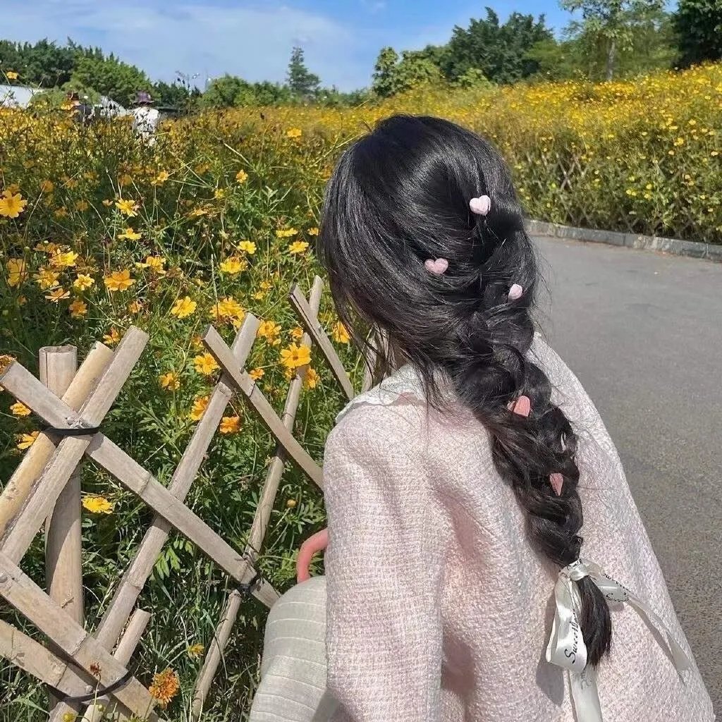 百日蔷薇