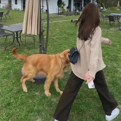 漂泊者